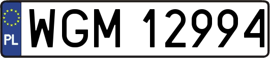 WGM12994