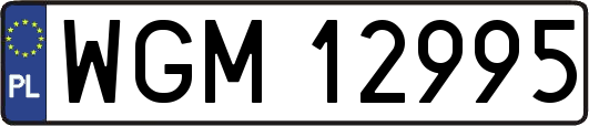 WGM12995
