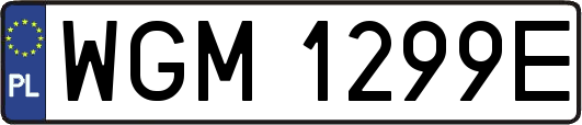 WGM1299E