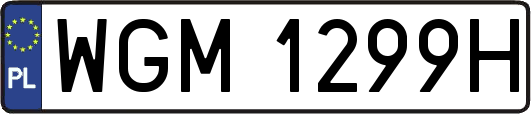 WGM1299H