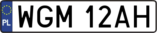 WGM12AH
