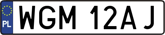 WGM12AJ