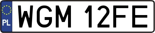 WGM12FE