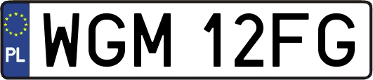 WGM12FG