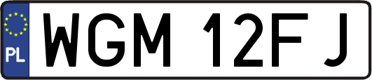 WGM12FJ