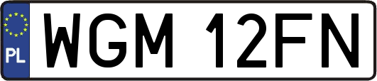 WGM12FN