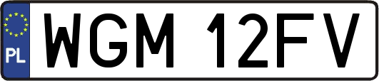WGM12FV