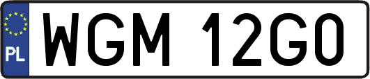 WGM12G0