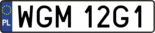 WGM12G1