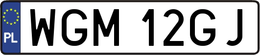 WGM12GJ