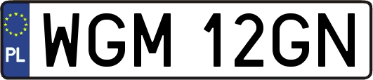 WGM12GN