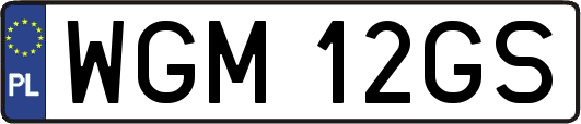 WGM12GS