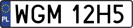 WGM12H5