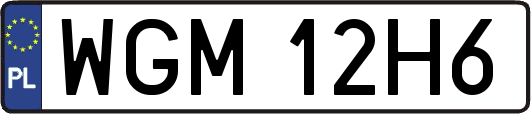 WGM12H6