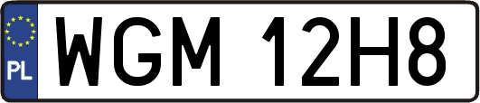 WGM12H8