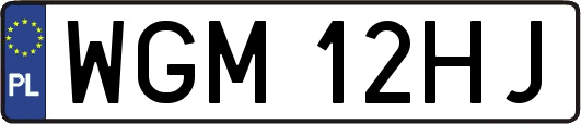 WGM12HJ