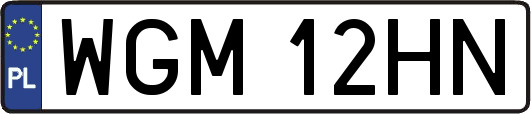 WGM12HN