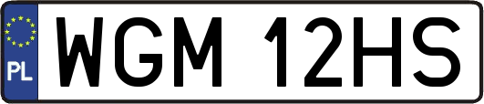 WGM12HS