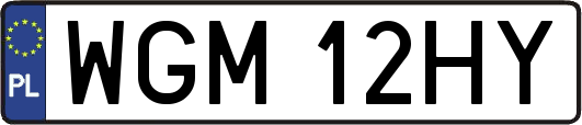 WGM12HY