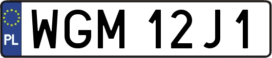 WGM12J1