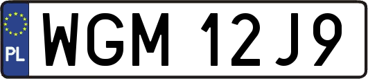 WGM12J9