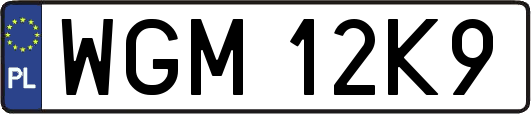 WGM12K9