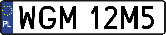 WGM12M5