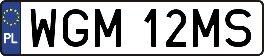 WGM12MS
