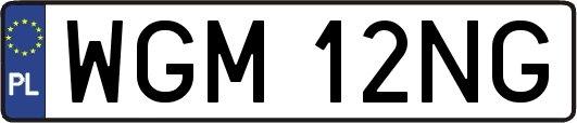 WGM12NG