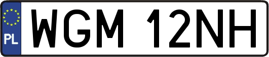 WGM12NH