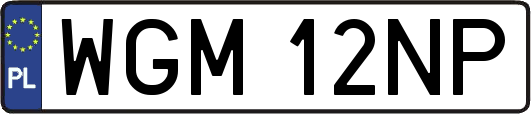 WGM12NP