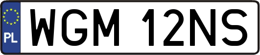 WGM12NS