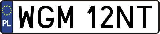 WGM12NT
