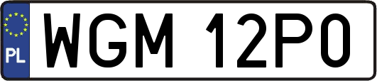 WGM12P0