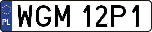 WGM12P1