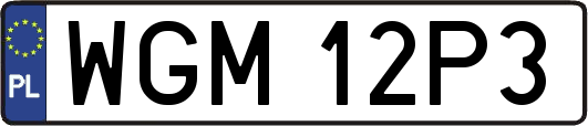 WGM12P3