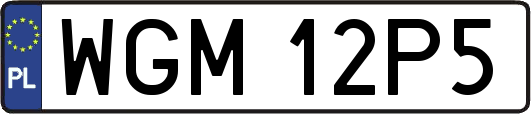 WGM12P5