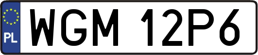 WGM12P6