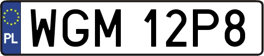 WGM12P8