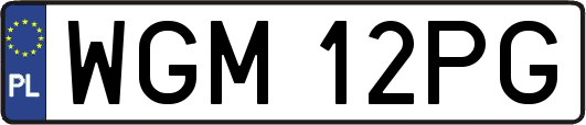 WGM12PG