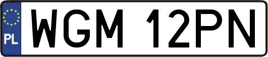 WGM12PN