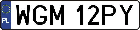 WGM12PY