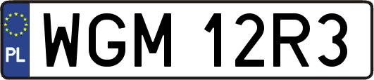 WGM12R3