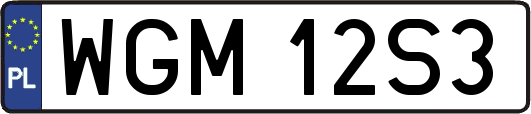 WGM12S3