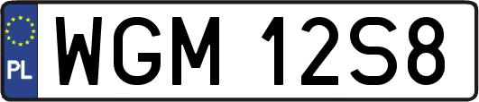 WGM12S8