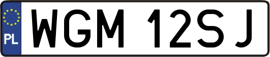 WGM12SJ