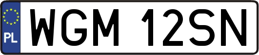 WGM12SN
