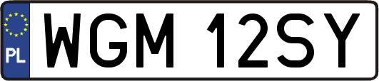 WGM12SY