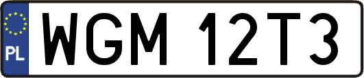 WGM12T3
