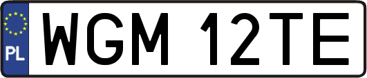 WGM12TE